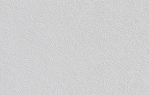 Vliesfaser 577 PRO 10,05 M 0,53 M