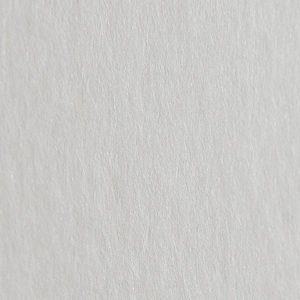 Variovlies Aqua 180 PRO 25,00 M 1,00 M