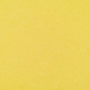 Colorette AcousticPlus Neo banana yellow R883 0001 2,00 m
