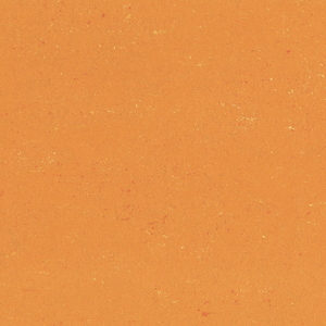 Colorette AcousticPlus Neo kumquat orange R883 0170 2,00 m
