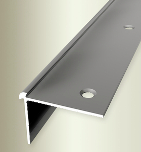 TKP871 (3mm/3mm) Treppenkante Aluminium edelstahl F2 40,00 mm 30,00 mm 2,50 lfm