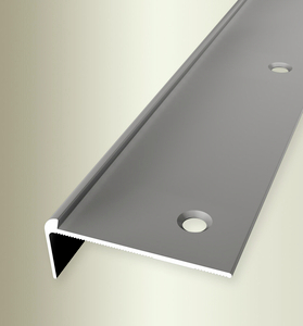 TKP860-V (3mm) Treppenkante Alu edelstahloptik F2 48,00 mm 19,00 mm 2,50 m