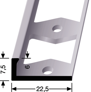 AP307-G (6mm) Abschluss Edelstahl edelstahl poliert F8 2,50 lfm